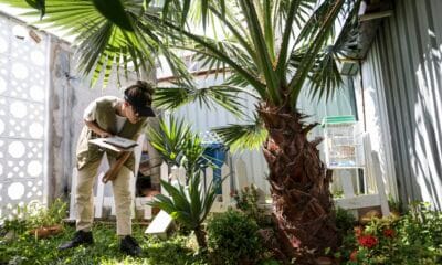 Prevenção de dengue deve ir além de mensagens sobre hábitos e cuidados