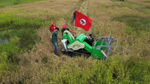 Máquinas chinesas para agricultura familiar: testes